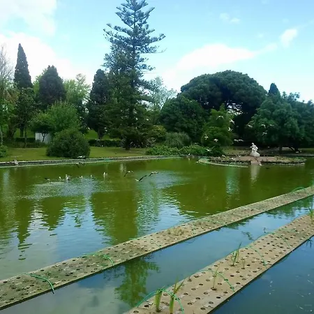 亚历克斯公寓 Lisboa