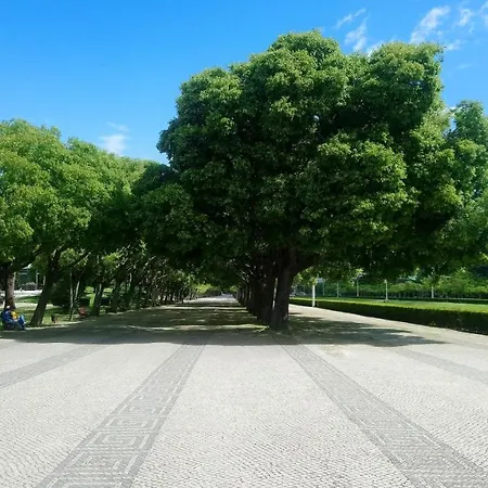 公寓 亚历克斯公寓 Lisboa